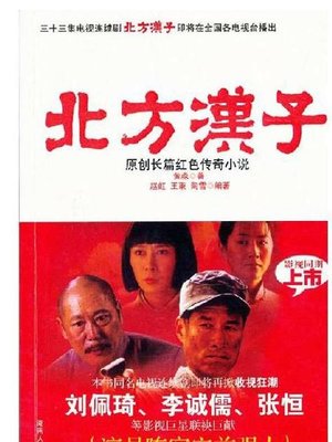 cover image of 北方汉子 (North Guy)